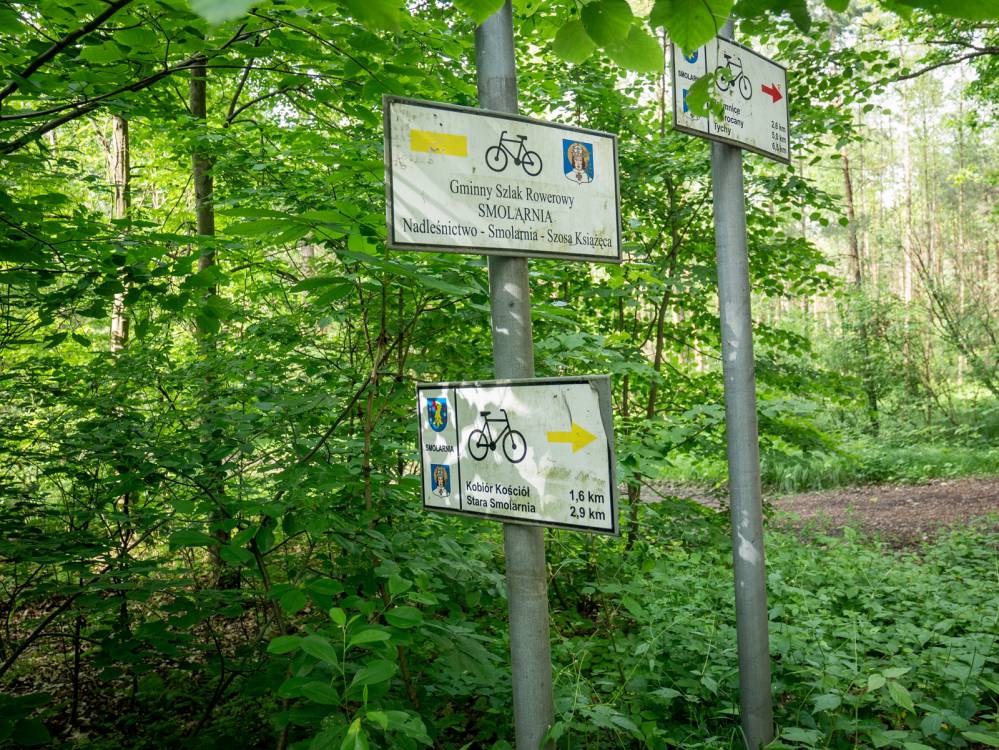 Drogowskazy- Szlak Smolarnia'
