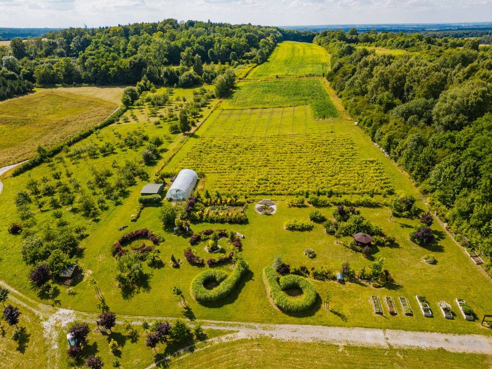 Śląski Ogród Botaniczny w Mikołowie