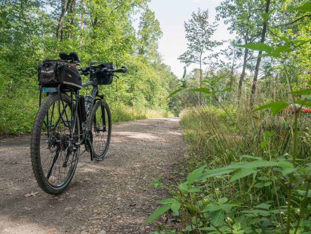 Szlak Lasu Zagórskiego w Sosnowcu