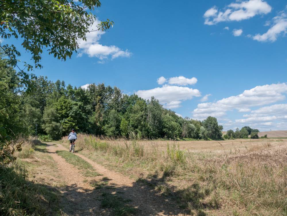 Czarny szlak rowerowy nr 30 Toszek - Pławniowice
