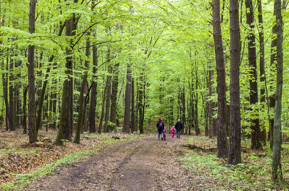 Szwajcaria Rachowicka